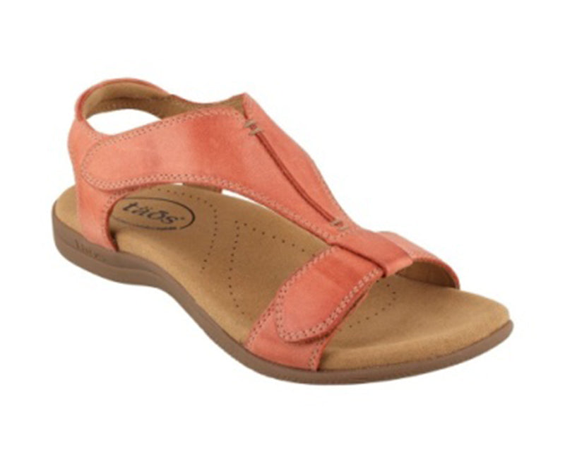 Hush Puppies Brown Flat Sandals For Women F66441380000EG at Rs 3999/pair |  Women Flats in Ahmedabad | ID: 17789833755